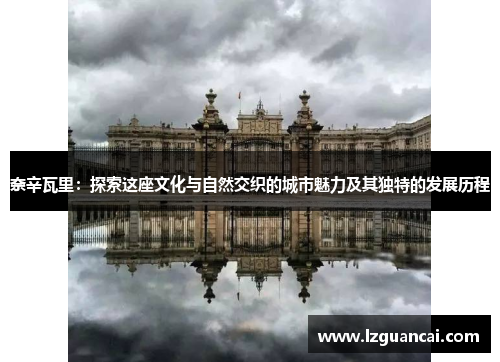 奈辛瓦里：探索这座文化与自然交织的城市魅力及其独特的发展历程