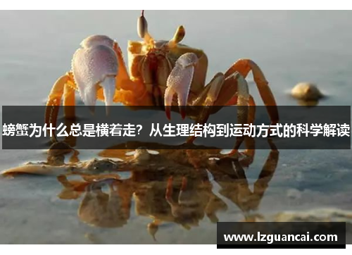 螃蟹为什么总是横着走？从生理结构到运动方式的科学解读