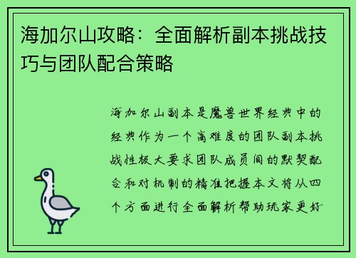 海加尔山攻略：全面解析副本挑战技巧与团队配合策略